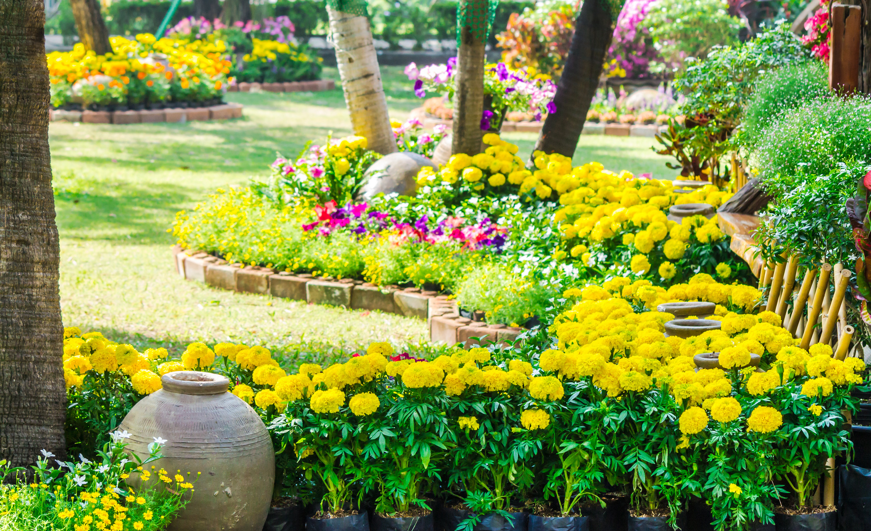 Flowers in the garden on summer. /Landscaped flower garden with lots of