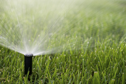 close-up of a sprinkler watering a green lawn