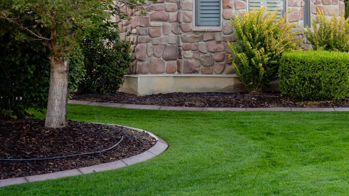 Expert Spring Lawn Care Tips for Utah Lawns | Stewart's Lawn