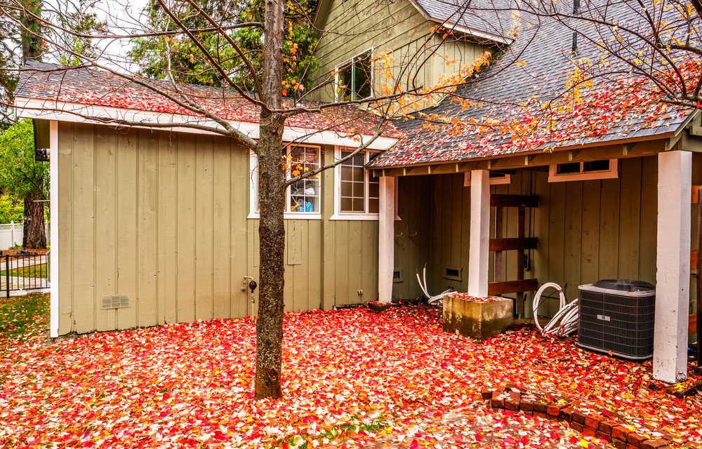 fall leaves on house