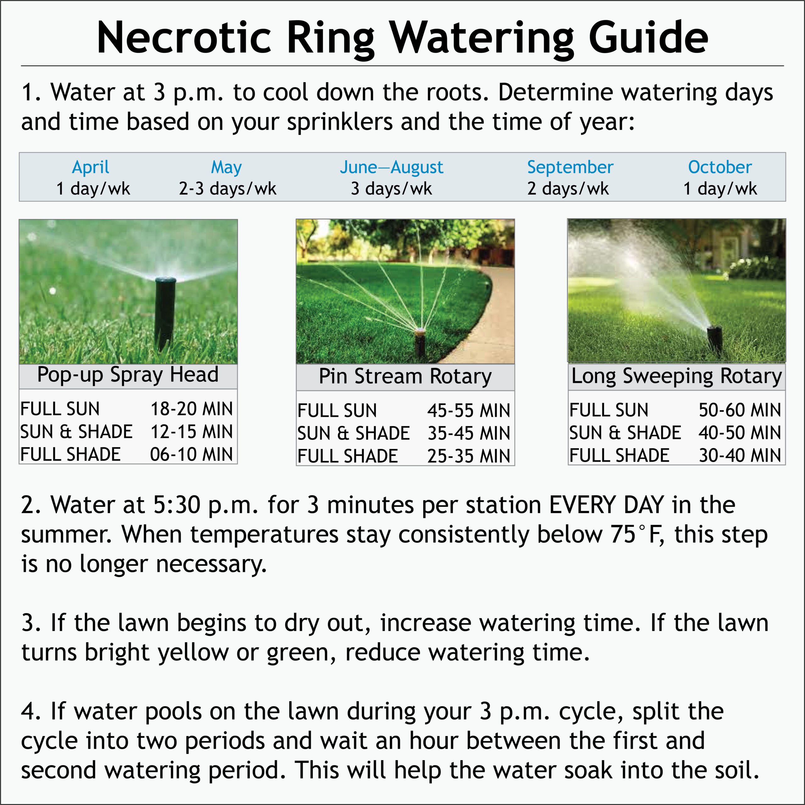 necrotic ring watering guide