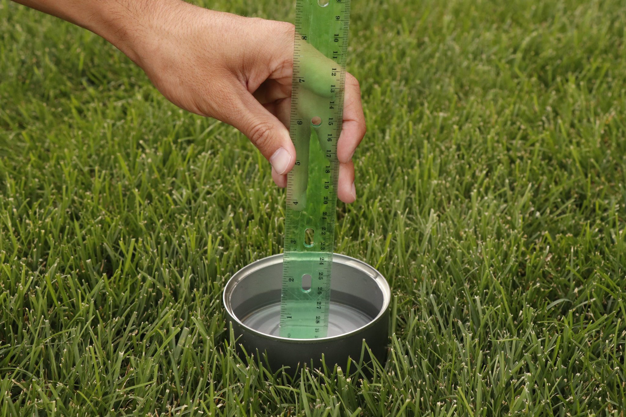 How to Care for Kentucky Bluegrass Stewart's Lawn